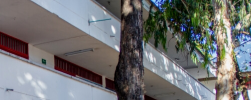Vicerrectoria de Investigación y Proyección Social, publica:
