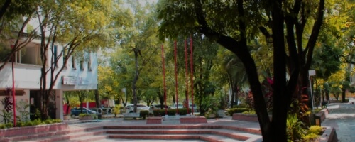 Becas Israel, Australia y otros países.