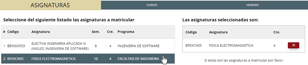 Universidad Surcolombiana