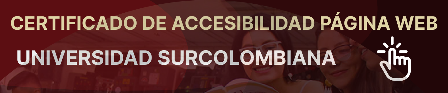 Banner de Accesibilidad de la pagina web