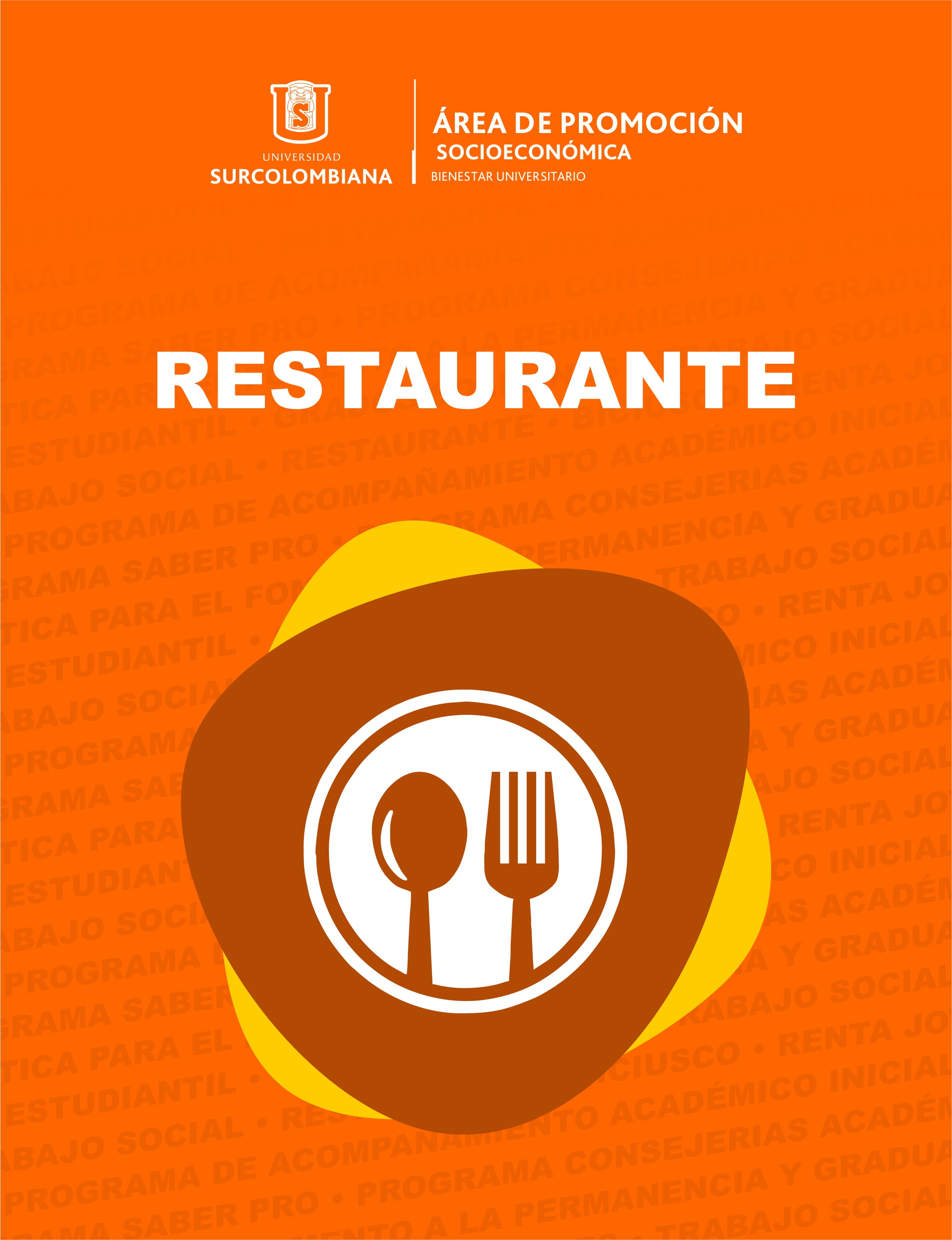 Promoción Socioeconómica