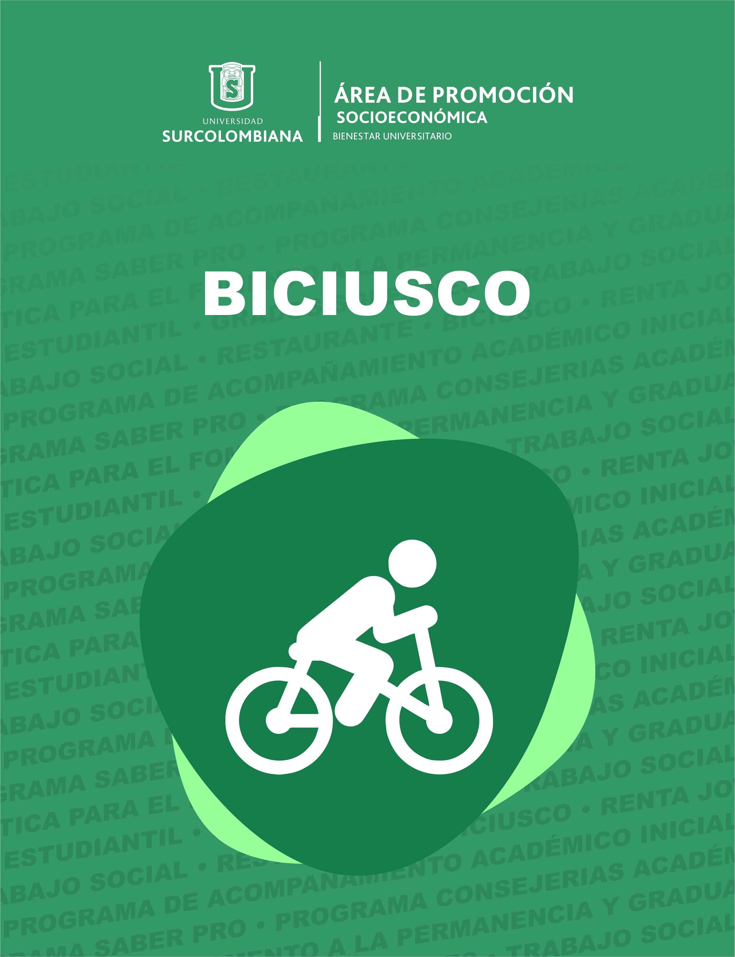 Promoción Socioeconómica